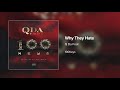 Q Da Fool Why They Hate mp3