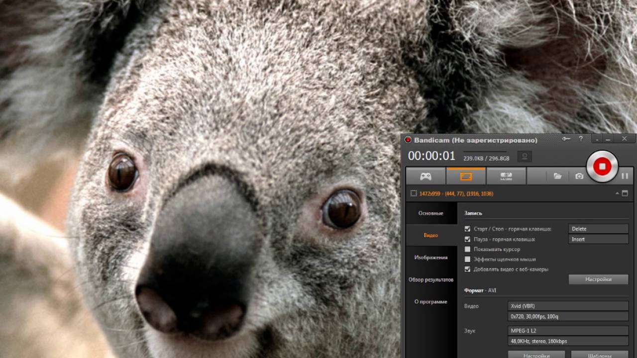 bandicam videos on youtube bandicam videos on youtube