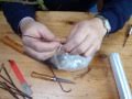 Apple tree grafting lesson-the saddle, cleft and rind grafts