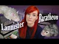 They Thought They Had Good Hamster Care! | Baratheon & Lannister Intake Story | Munchie's Place