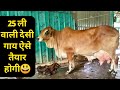 नस्ल सुधार पर हिला देने वाली जानकारी|Cattle Breeding/Back Breeding Indigenous Cow