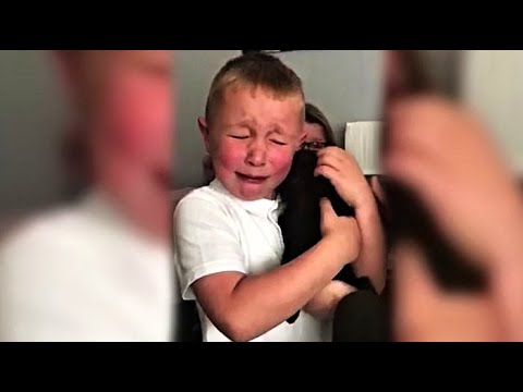 До Слёз Реакция На Подарок Щенка Reaction To Puppy Surprise Часть1