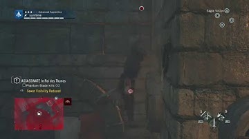 Forever Falling - Assassin