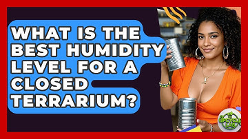What Is The Best Humidity Level For A Closed Terrarium? - The Upcycle Lab