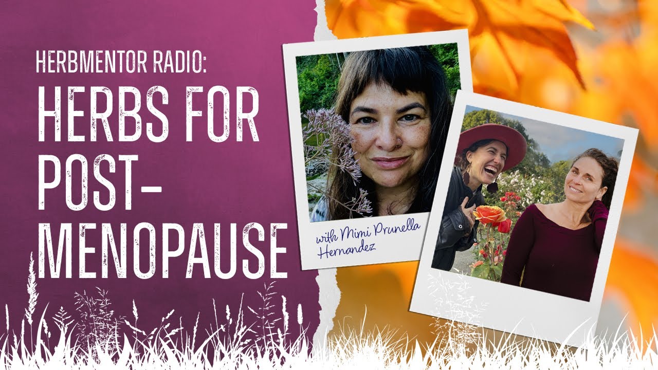 HerbMentor Radio: Mimi Prunella Hernandez — Herbs for Post-Menopause