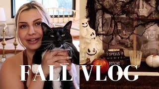 FALL VLOG: decorating for fall, bleaching my own hair, womens upper body workout