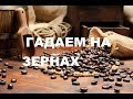 ГАДАНИЕ НА КОФЕЙНЫХ ЗЕРНАХ. БЫСТРЫЙ ОРАКУЛ  НА КАЖДЫЙ ДЕНЬ