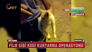 Fi̇lm Gi̇bi̇ Kedi̇ Kurtarma Operasyonu