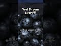 Well Dream NMN 정   eaaea6662y1yiw3 1