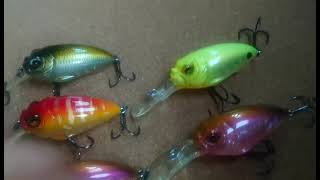 久々のメガバス! 今回は、グリフォンです!