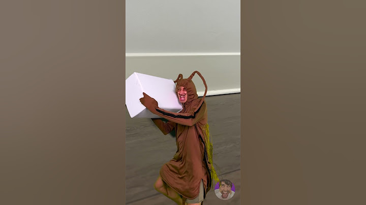 Kakerlaken machen sich immer Sorgen um ihre Familie🥰🪳🥹