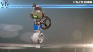 VTV Max Segmented Ball Valve