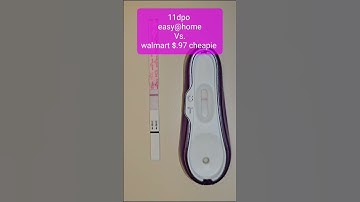 11 dpo live #baby #pregnancy #pregnancytest #livepregnancytest #pregnant  pregnancy test battle