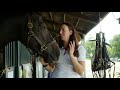 Robbins begins life after racing in competitive eventing | Godolphin Rehoming
