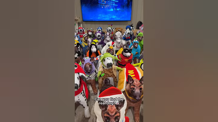 Can you find the real dog? 👻 #shorts