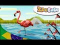 Zoobabu | Flamingo e mais | Desenhos animados para crianças