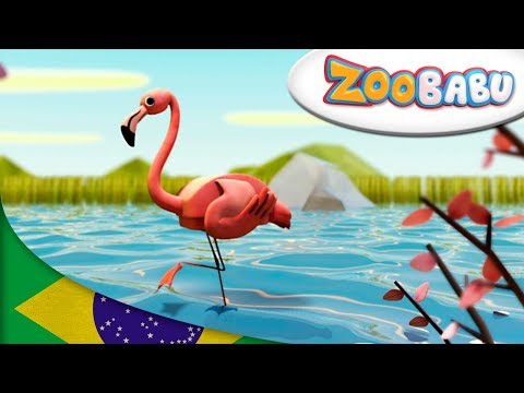 Zoobabu | Flamingo e mais | Desenhos animados para crianças