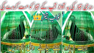 Sindhi Tetar | Sindhi Kala Tetar | Sindhi Tetar Voice | Sindhi Tetar Ki Awaz 2022 screenshot 5