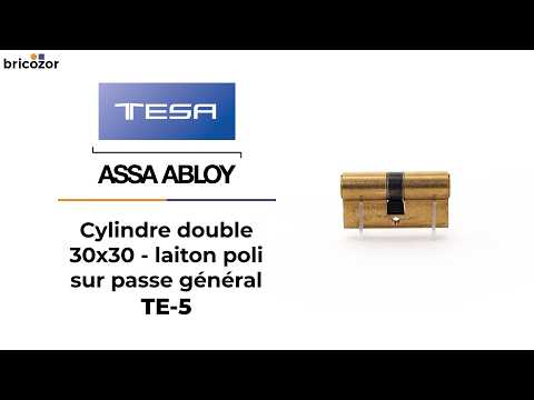 Cylindre double TE-5 sur passe général - laiton poli TESA Sécurité