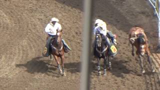 Calgary Stampede Rodeo July 2017