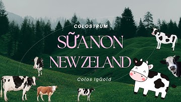 Colostrum - Sữa Non New Zealand