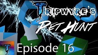Totems and More Totems | Post-Max Pet Hunt Episode 16 | Main Progress Series