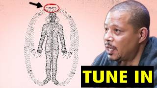 Terrence Howard Just Revealed Mind Blowing Secrets That Left Everyone SPEECHLESS! @BeyondBeliefYTC