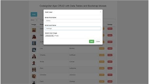 Codeigniter Ajax Crud using DataTables - Insert / Add Data