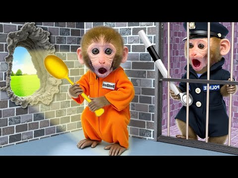 赤ちゃん猿「ゴゴ」 がふしぎな迷路からにげだして、サンドイッチ