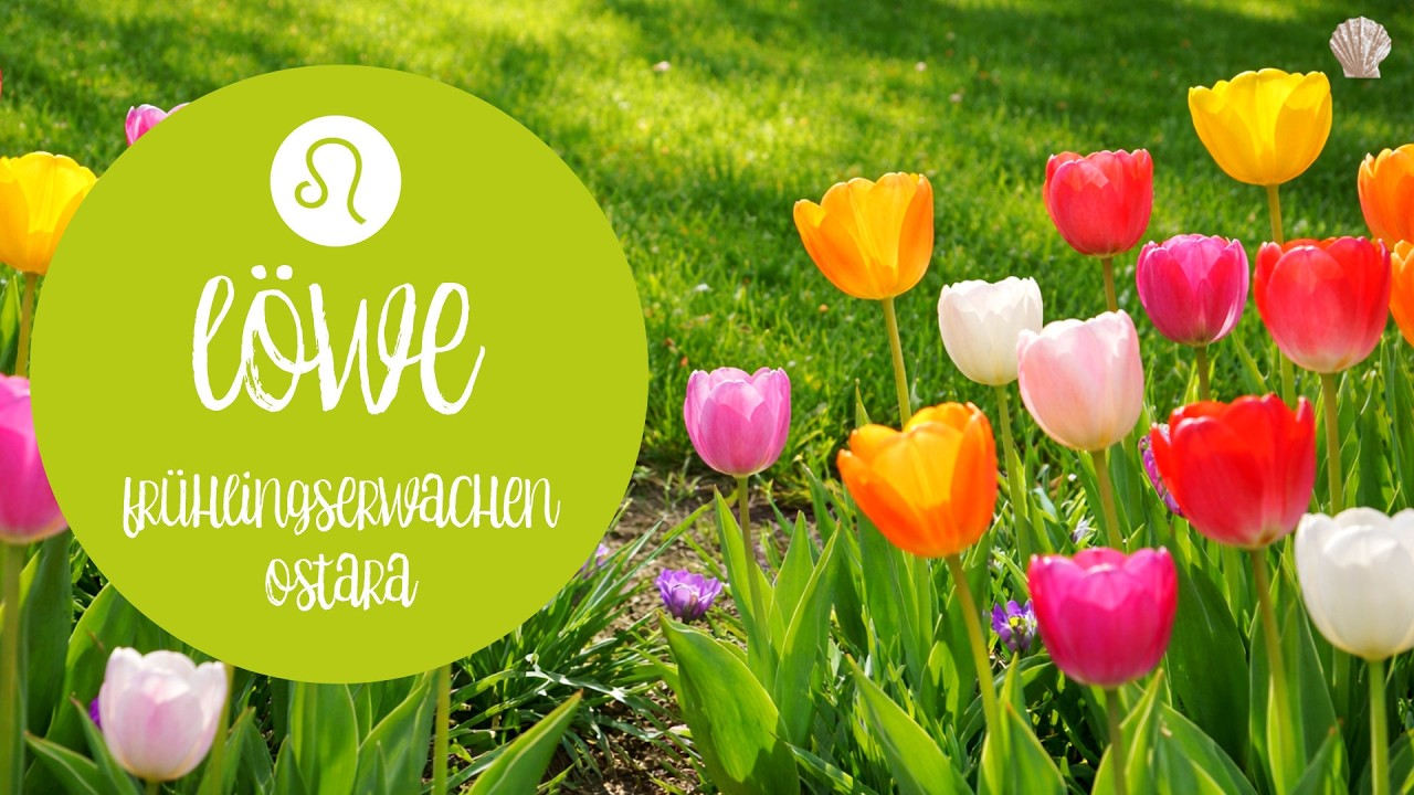 LÖWE ♌️ Frühlingserwachen 🌷 Ostara ⚖️ Tag- und Nachtgleiche
