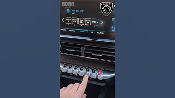 Peugeot Touch Screen Frozen - Remedy