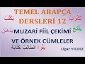 Arapça dersleri muzari fiil çekim tablosu ve örnek cümleler