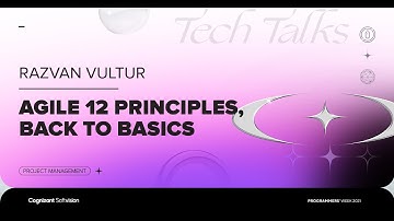 Agile 12 principles, back to basics