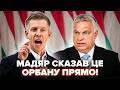 ⚡Мадяр ЖОРСТКО звернувся до ОРБАНА після виборів! Термінова заява ПІДІРВАЛА МЕРЕЖУ. Ось що сказав