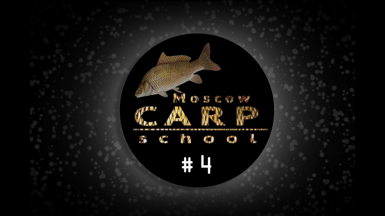 Channel feed. Кубок рыба. Моск фидер школа лещ Орлов. Moscow w Carp. Carp Academy 2.