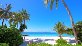 Download Lagu Turquoise Beach with Calming Ocean Waves. The Most Relaxing Ocean Waves 4K ULTRA HD MP3