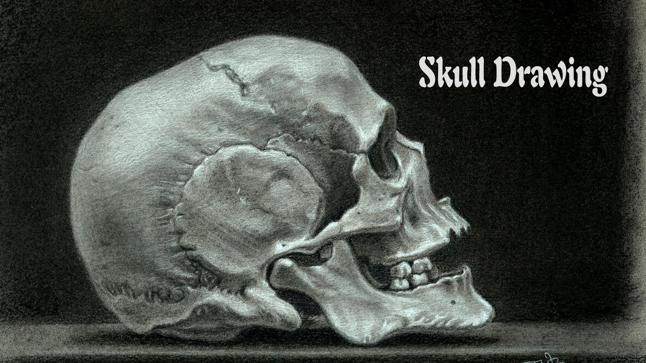 Charcoal Skull Drawing Tutorial 