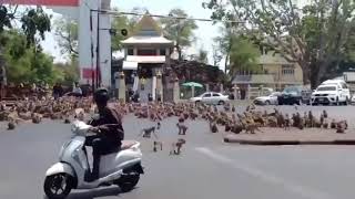 Na Teri Izzat Kam Hoti , Na Rutba Ghta Hota....tu Dunya M Q Aya Tha Bs Ye Yad Rkha Hota