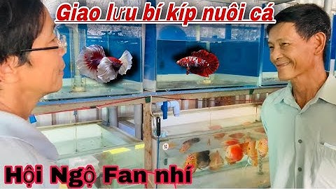 Cuộc gặp gỡ bắt ngờ của Chú 3 lục bình vs A Nhựt biên hoà-Hội ngộ bí kíp nuôi cá cảnh