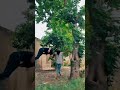 watch till the end🔥🥶