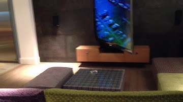 70" TV on a Future Automation Arm