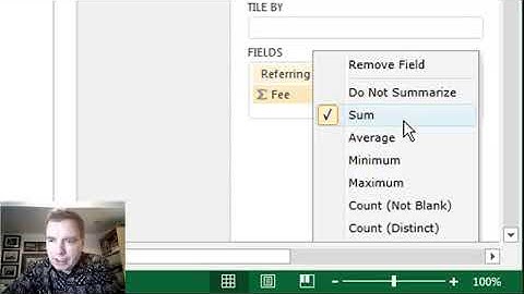 Excel Video 491 Aggregations in Power View