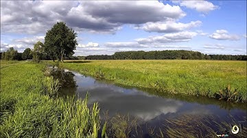 سورة الذاريات برواية شعبة عن عاصم عمر أفست