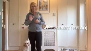 Sit to Greet (Hello) by Victoria Cooper 160 views 1 year ago 5 minutes, 22 seconds
