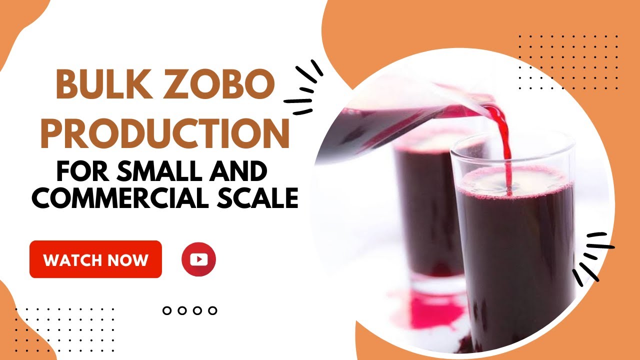 zobo drink business plan