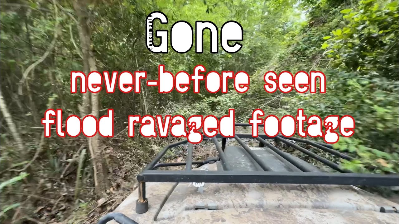 Never Before Seen: flood ravaged farm animal rescue - YouTube