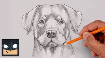 How To Draw a DOG | ROTTWEILER | Step by Step Sketch Tutorial