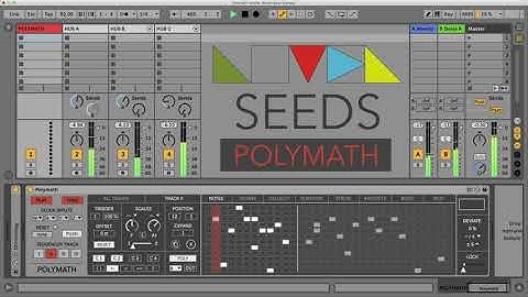 POLYMATH (No Talking Demo) - Novel Music