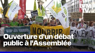 La pétition contre la loi Duplomb peut-elle changer quelque chose ?