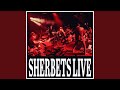 38Special 2025 (LIVE at CLUB QUATTRO, 名古屋, 2025)